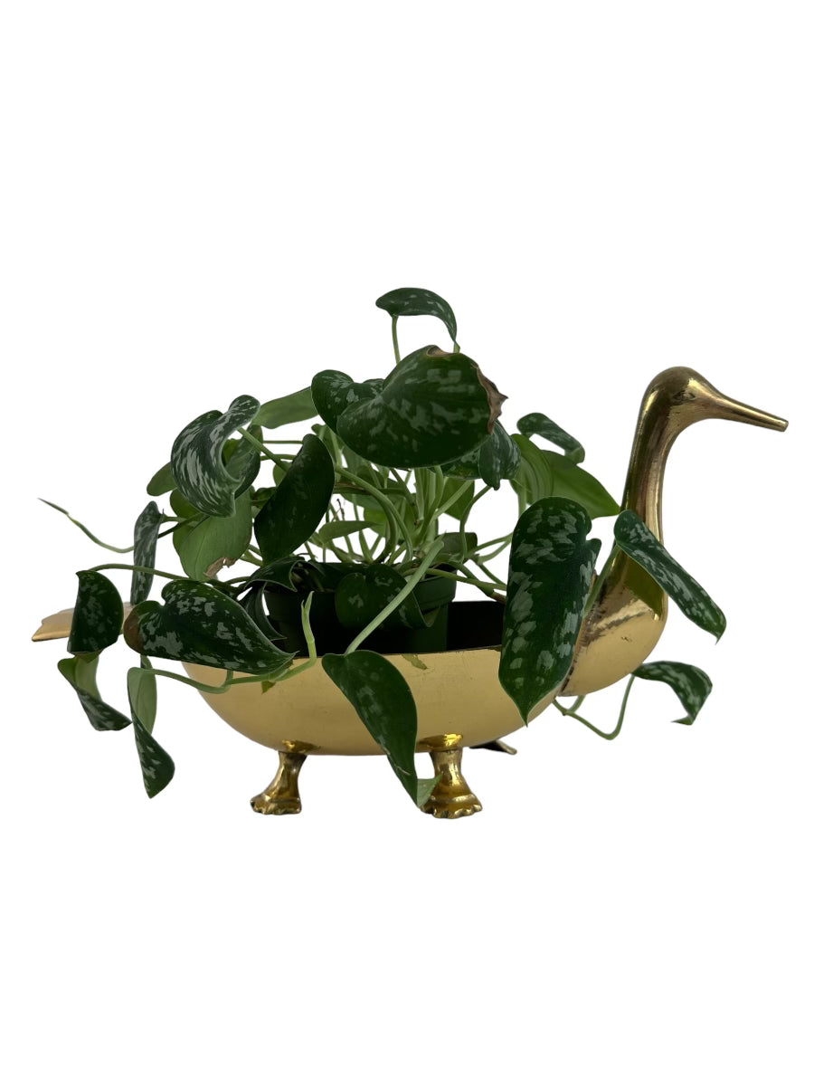 Brass Duck Bowl/Planter